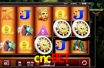 Apostas Esportivas na cncbet: Um Guia Completo